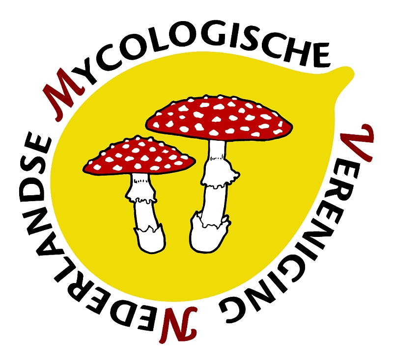 Logo NMV